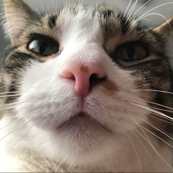 Meet your Posher, Lisa - Picture 2 of 13